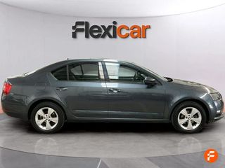Skoda Octavia 1.6 TDI 85KW (115CV) Style