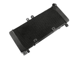 Radiatore Honda Hornet 900 (02-07)