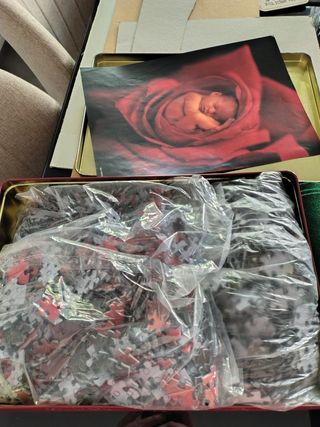 Puzzle Anne Geddes - Bebés en flores