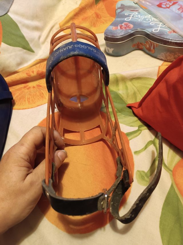 Bozal galgo: azul y naranja