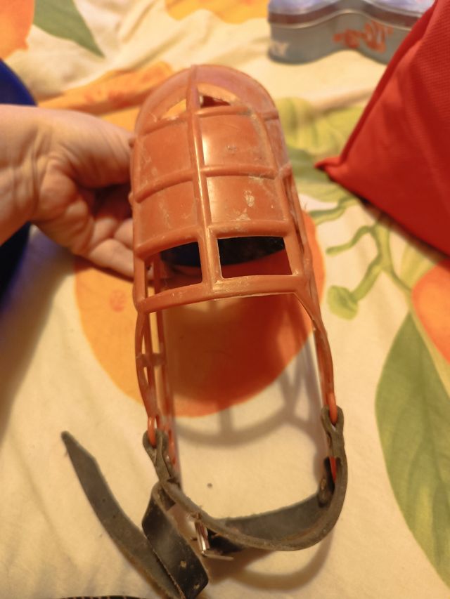 Bozal galgo: azul y naranja