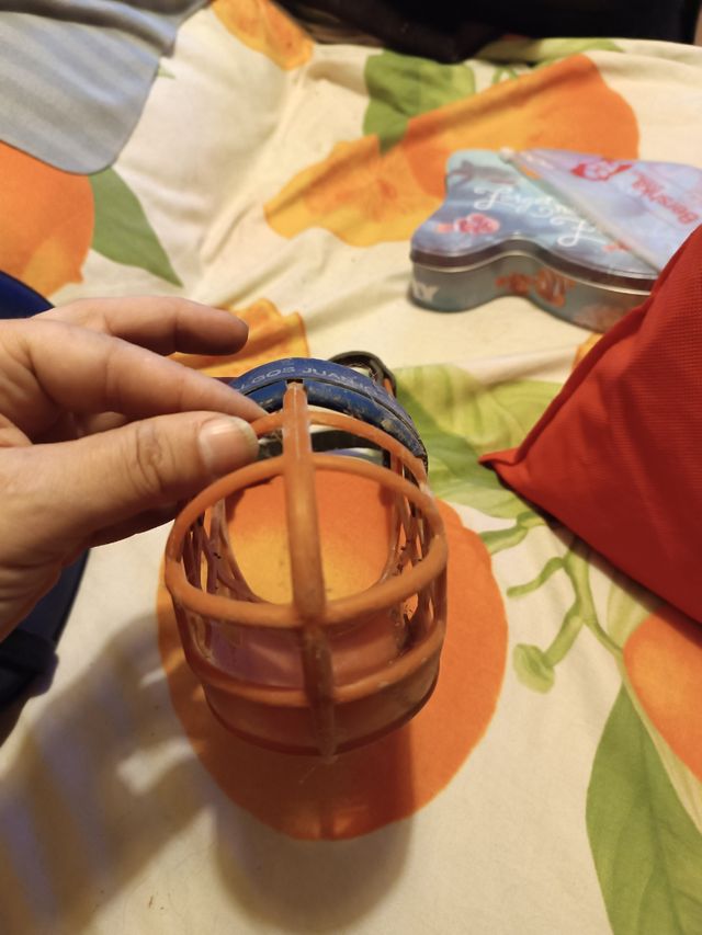 Bozal galgo: azul y naranja