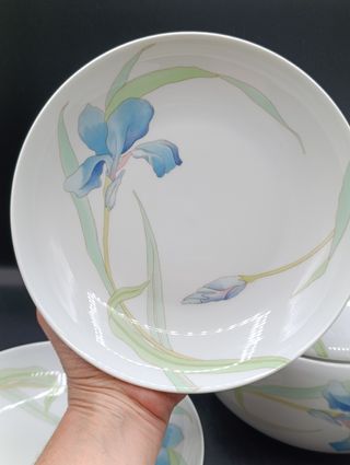 Vajilla porcelana Limoges