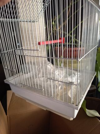 Jaula pájaros metalica blanca