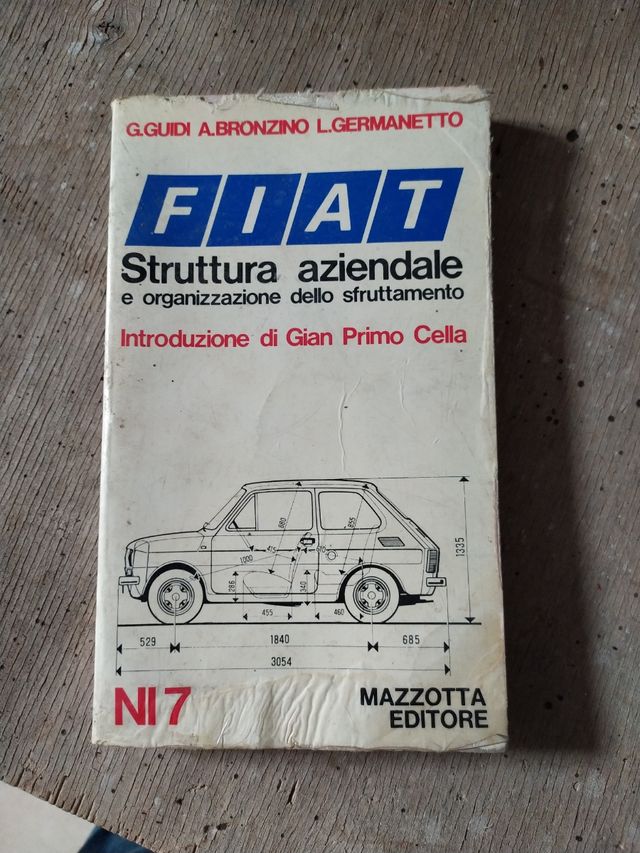 Fiat struttura aziendale e organizzazione