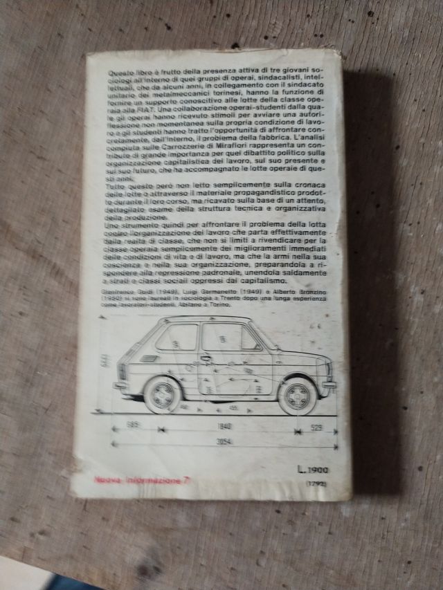 Fiat struttura aziendale e organizzazione