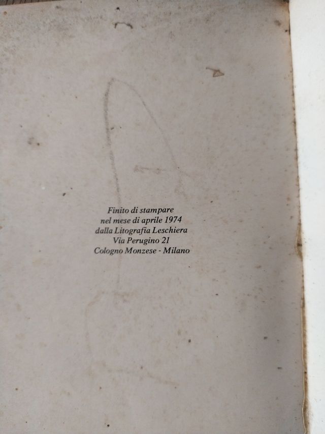 Fiat struttura aziendale e organizzazione