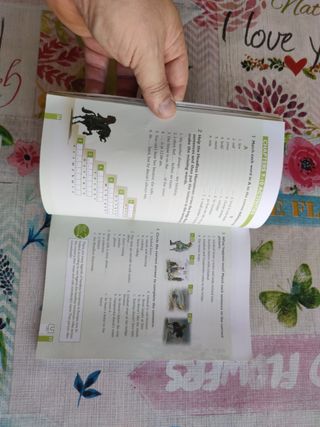 LEGEND OF SLEEPY H.ESO1 ACTIVITY