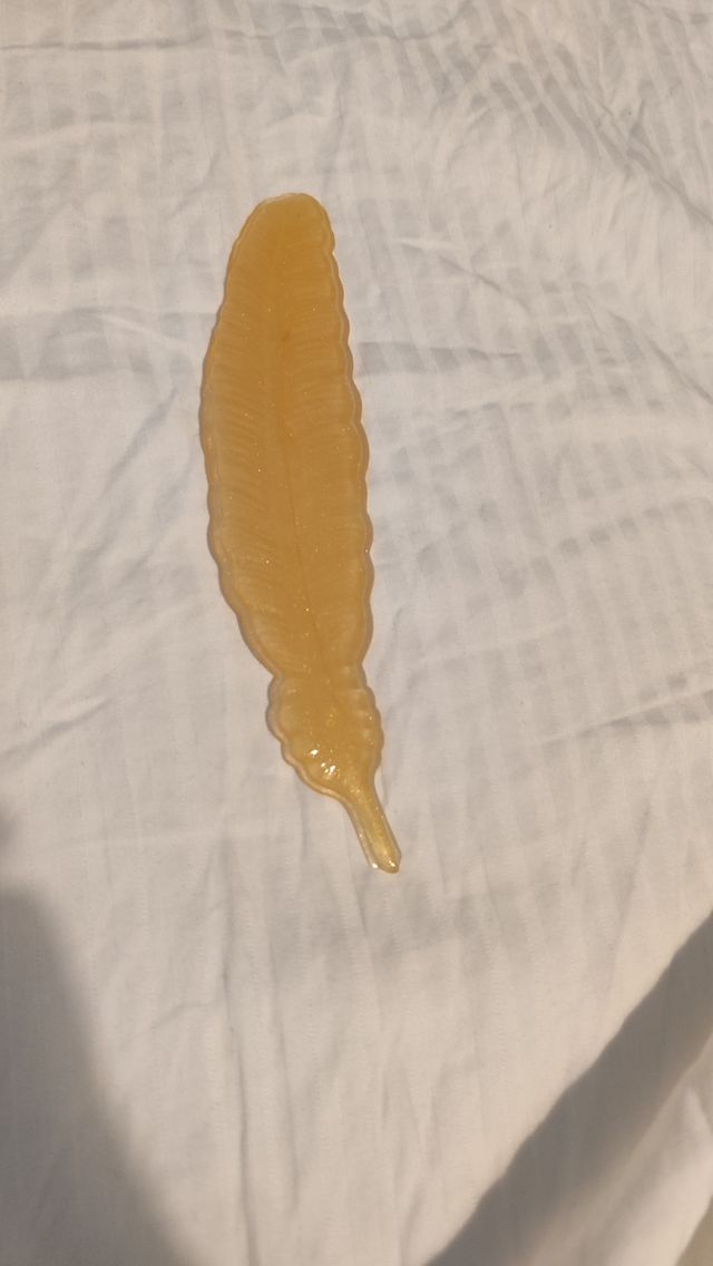 Marca páginas silicona forma ala