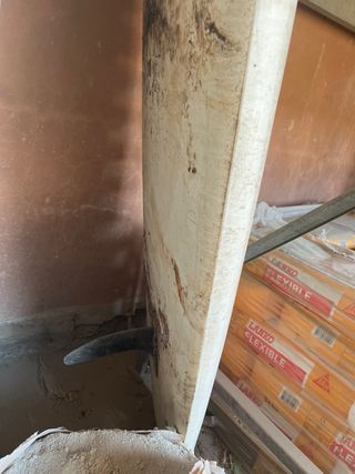 Tabla surf antigua escolar