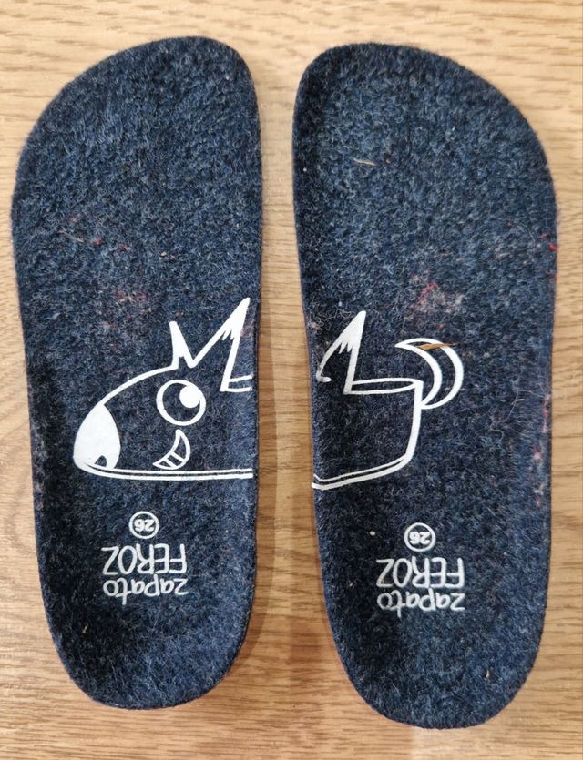 Zapatillas Feroz Liria Azul - T26