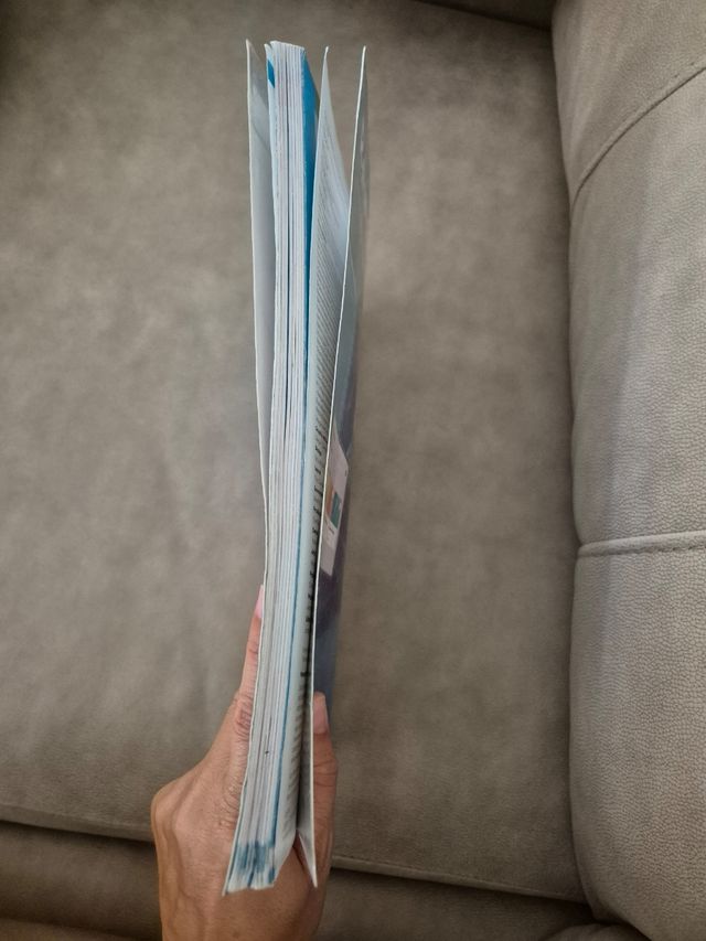 Visual Arts. 1 Secondary. Revuela