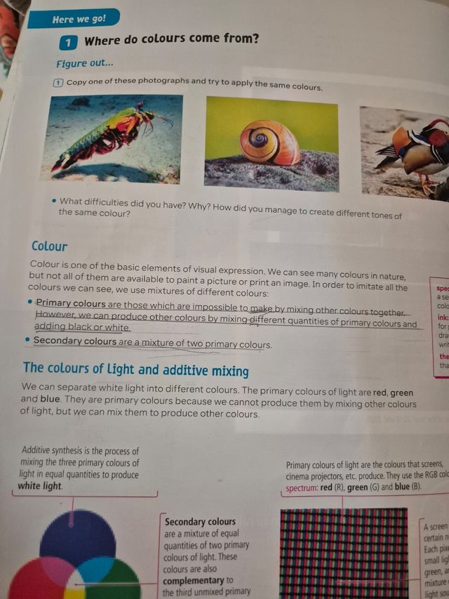 Visual Arts. 1 Secondary. Revuela