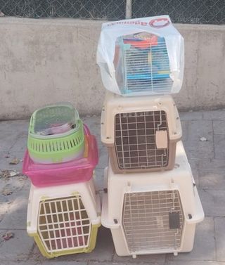 Tutto Insieme! Trasportini per animali: cani, gatti,