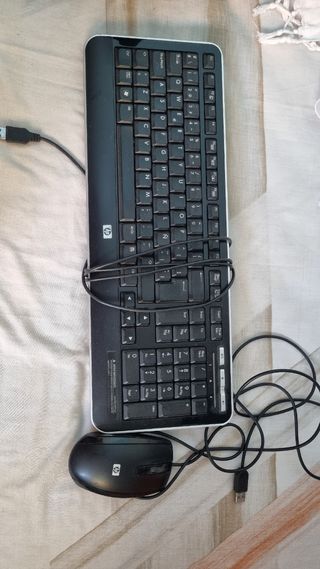 Teclado y ratón HP