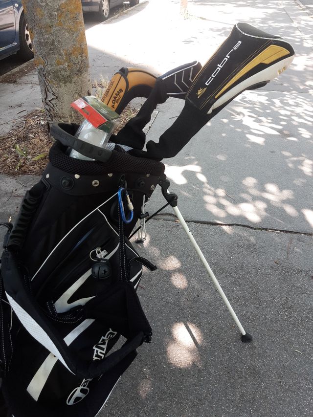 Bolsa golf Cobra + palos