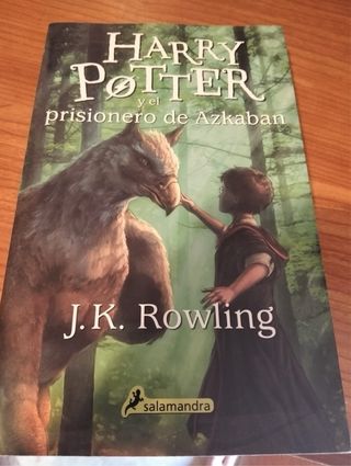 Lote Harry Potter