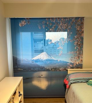Estor Japonés -  Monte Fuji