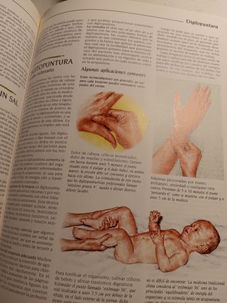 Diccionario de las medicinas naturales.