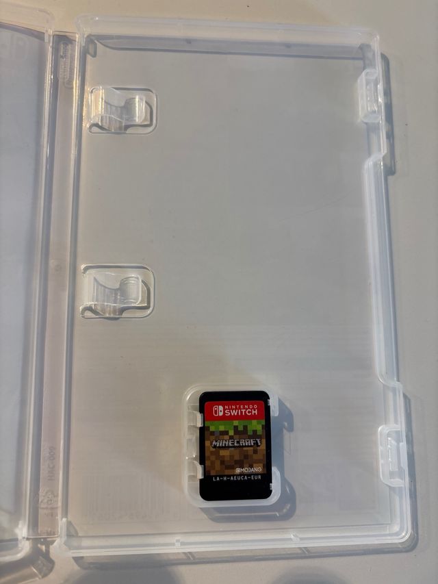 Minecraft Nintendo Switch