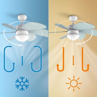 Ventilador de techo