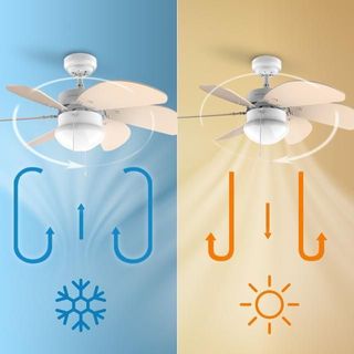 Ventilador de techo