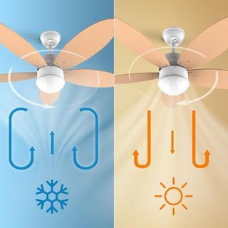Ventilador de techo