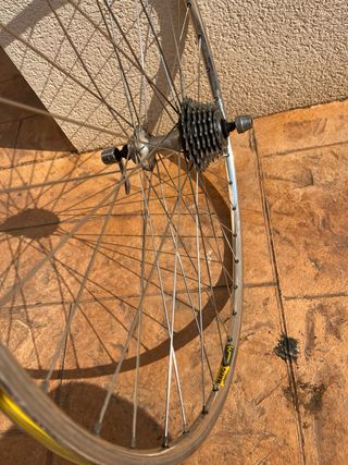 Llanta trasera bici clásica