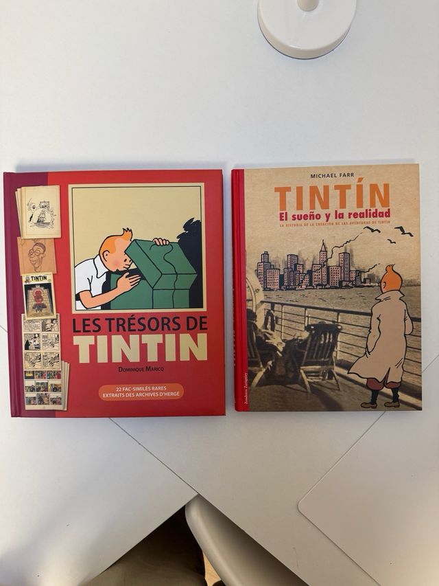 Tintín: el Sueño y la realidad
