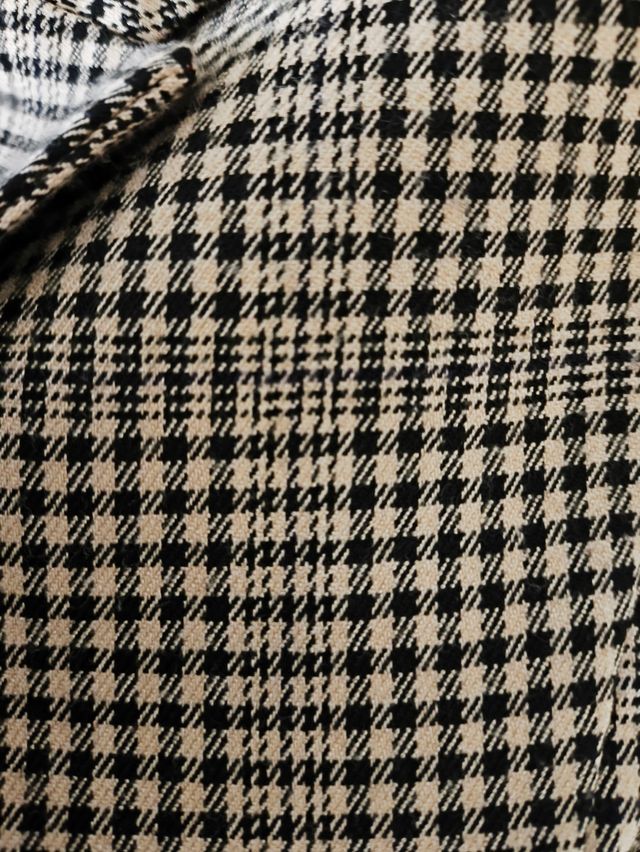 Blazer Stradivarius cebra