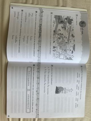 Vocabulario Cuadernos Lengua Primaria/ Vocabulary