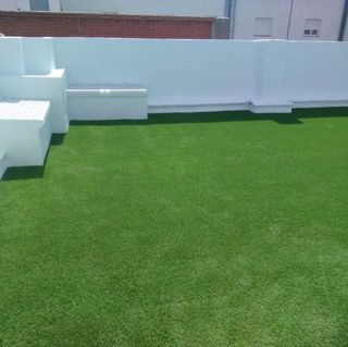 Pintor profesional Alicante
