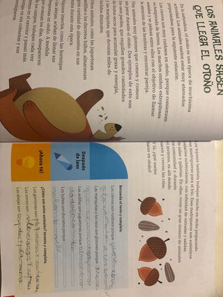 ITINERARIOS DE LECTURA 1X8 2 PRIMARIA