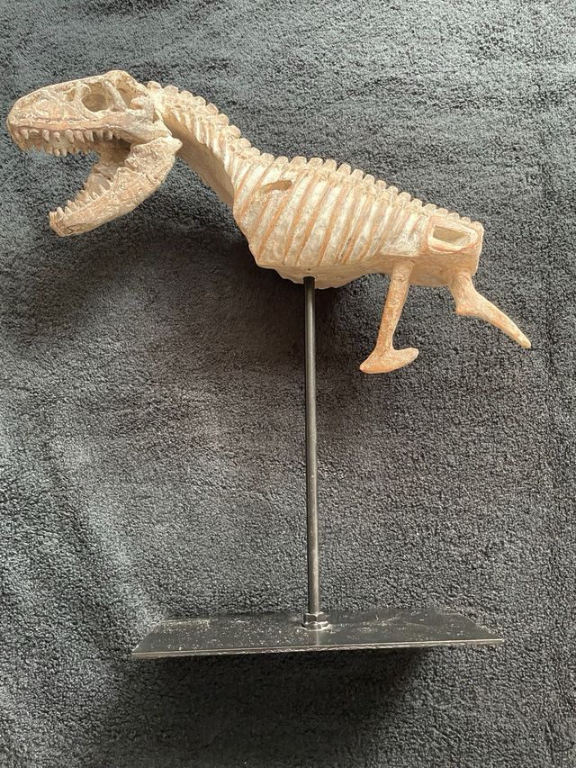 TYRANNOSAURUS REX ESQUELETO