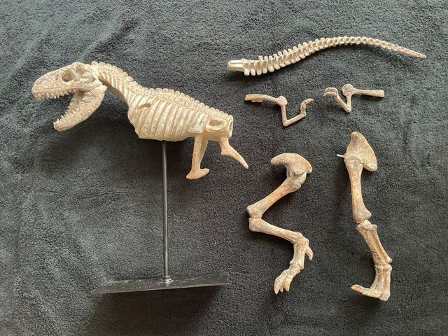 TYRANNOSAURUS REX ESQUELETO