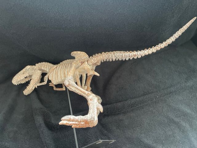 TYRANNOSAURUS REX ESQUELETO