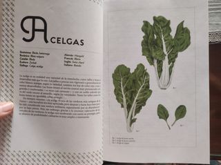 Las Verduras de Muchas Maneras - Karin Leiz