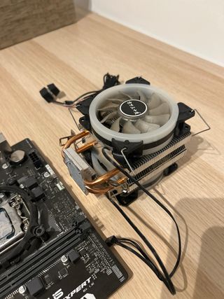 Placa base ASUS B250 Mining Expert con EXTRAS