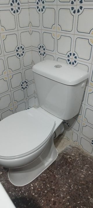 Reparacion baño: Bañera y WC