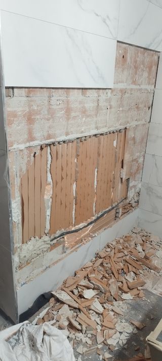 Reparacion baño: Bañera y WC