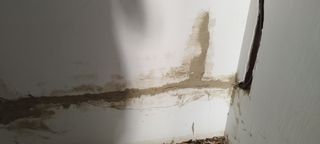 Reparacion baño: Bañera y WC