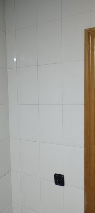 Reparacion baño: Bañera y WC