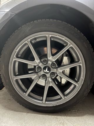 Llantas Tesla 18" Aero/Tapacubos + Ruedas invierno