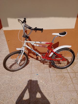 Bicicleta Rabasa Panther