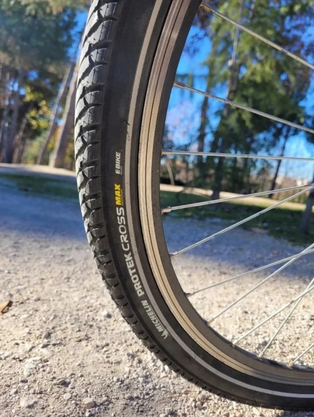 Bicicleta eléctrica con bateria extraible 250w