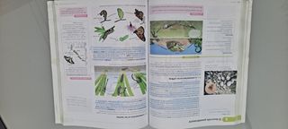 Biología y geología. 1 Bachillerato. Savia (Spa...