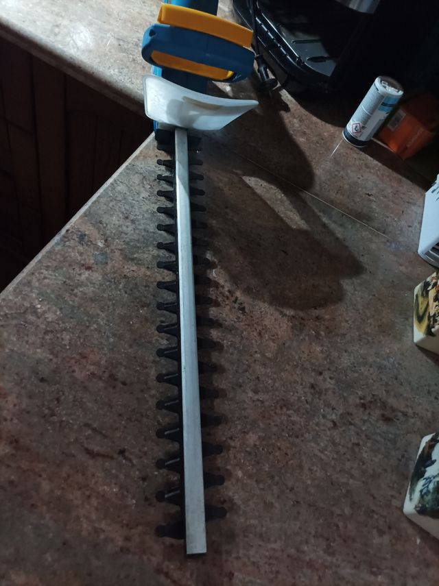 Cortasetos Einhell - Recortadora de Setos