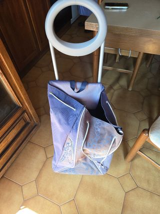 Carrello spesa pieghevole