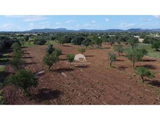 Terreno en venta en Campos