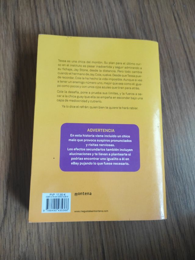 Bad boys girl novela romántica